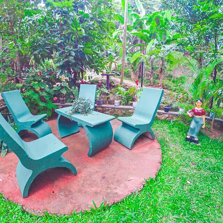 Rest Full Homestay Ella Exterior foto